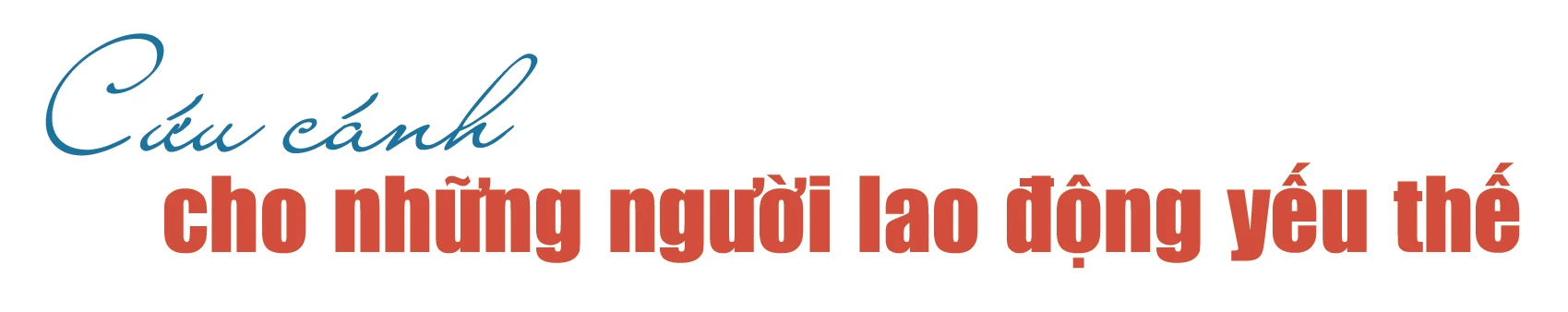 [E-Magazine] - Người phụ nữ tạo công ăn việc làm cho hàng trăm lao động nông thôn
