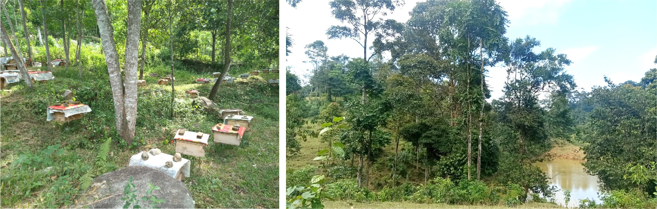 [E-Magazine] - Nữ giám đốc HTX 9X và ước mơ nâng tầm sản phẩm nông sản rừng núi