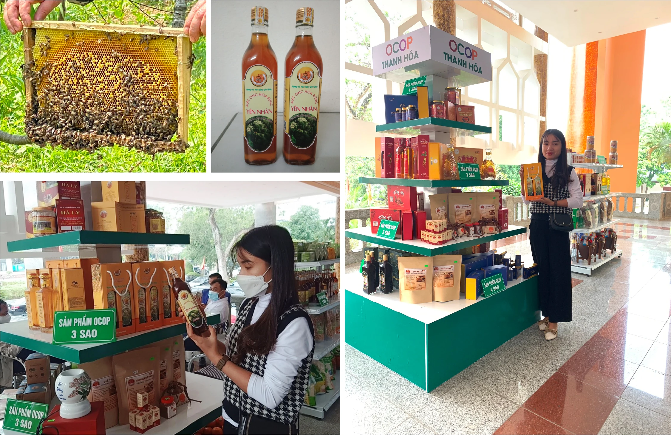 [E-Magazine] - Nữ giám đốc HTX 9X và ước mơ nâng tầm sản phẩm nông sản rừng núi