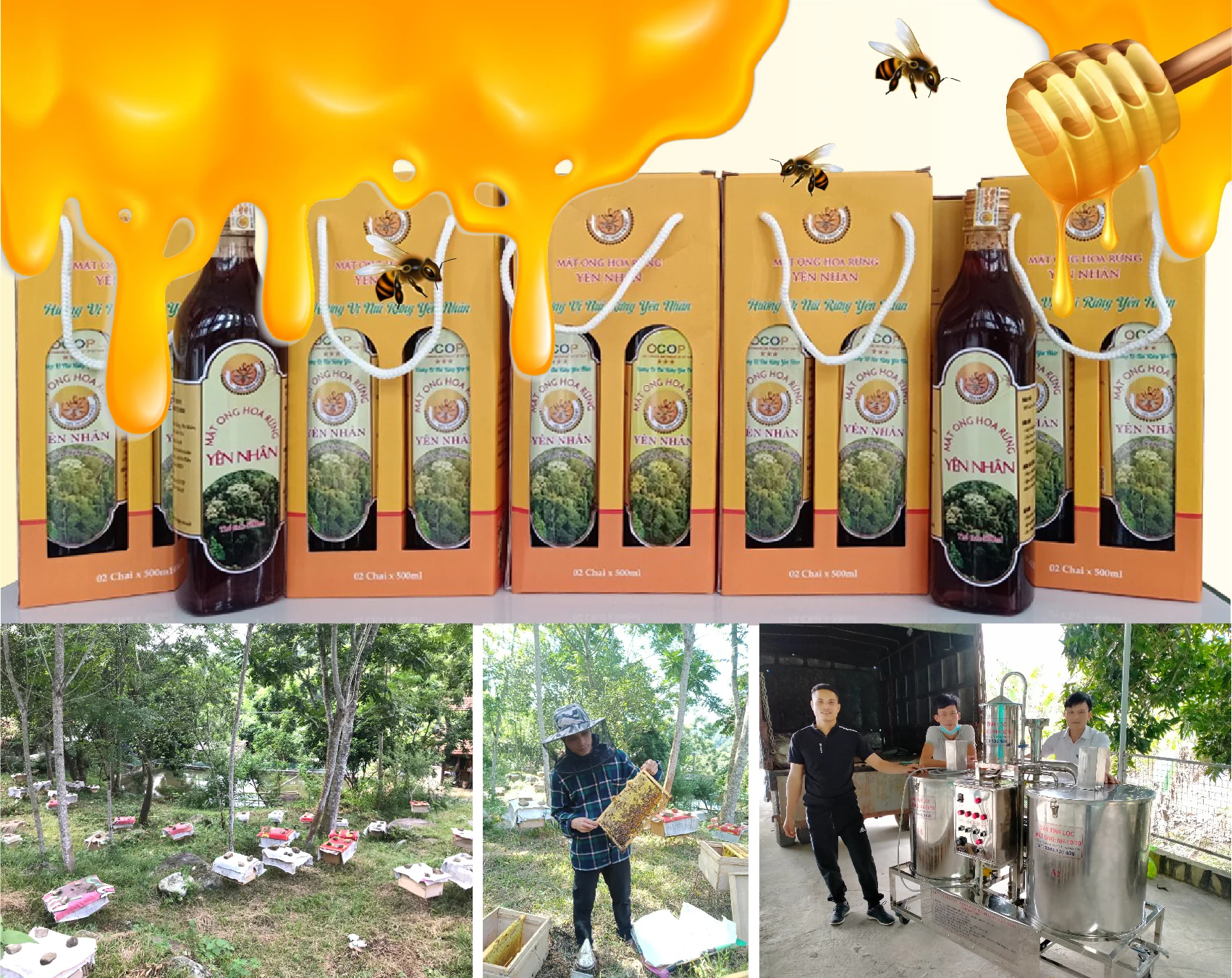 [E-Magazine] - Nữ giám đốc HTX 9X và ước mơ nâng tầm sản phẩm nông sản rừng núi