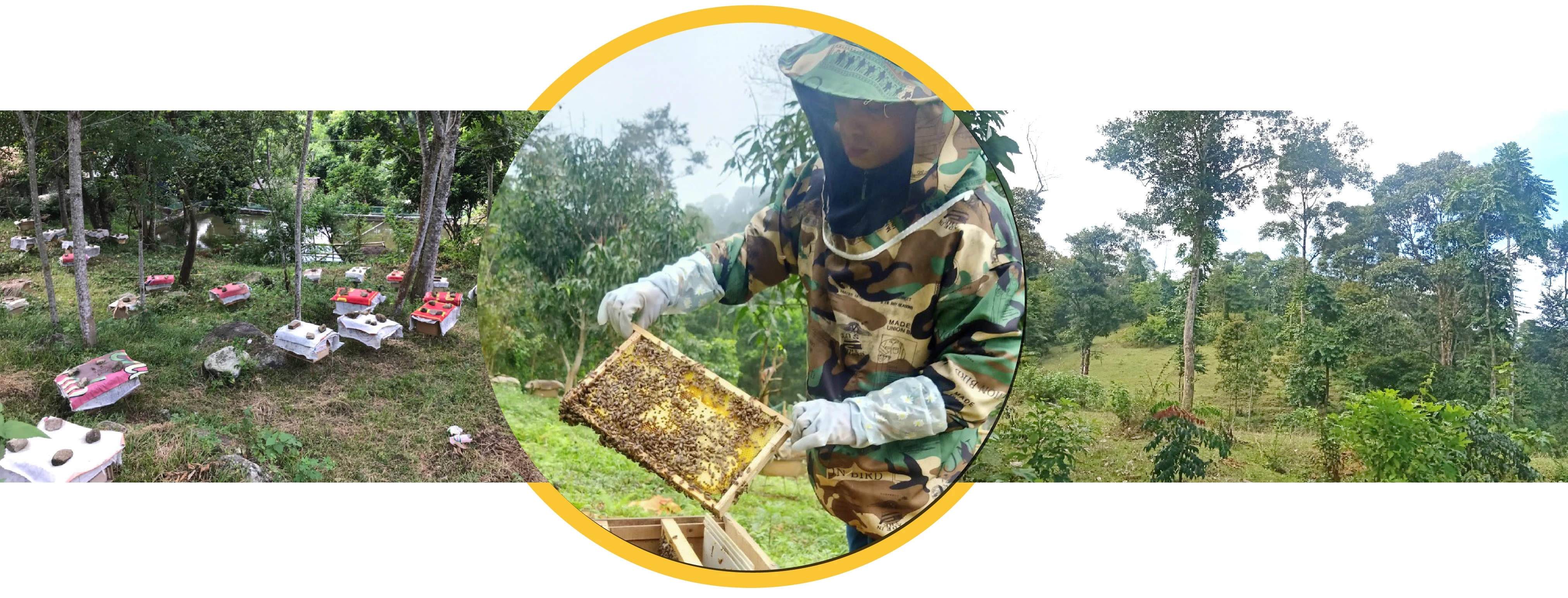 [E-Magazine] - Nữ giám đốc HTX 9X và ước mơ nâng tầm sản phẩm nông sản rừng núi