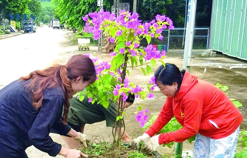 Về thăm Lâm Chính