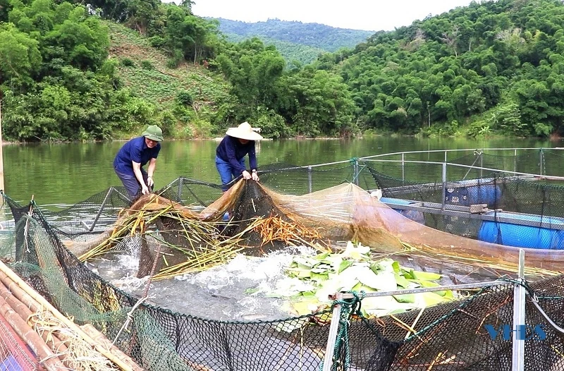 Quan Hoá đẩy mạnh đào tạo nghề cho lao động nông thôn