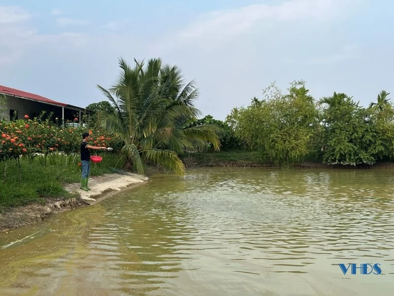 Gương thanh niên làm kinh tế giỏi ở xã Xuân Phong