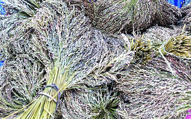 Khám phá ẩm thực vùng cao