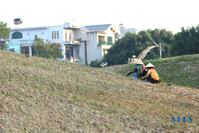 Công viên Hội An dần khoác áo mới