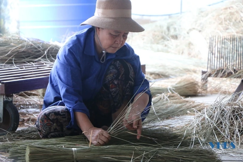 Nét đẹp nghề cói trên vùng đất Nga Sơn