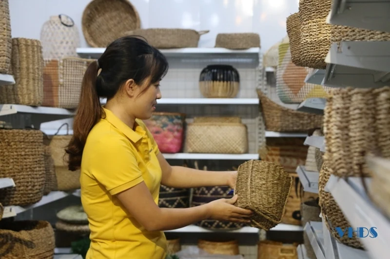 Nét đẹp nghề cói trên vùng đất Nga Sơn