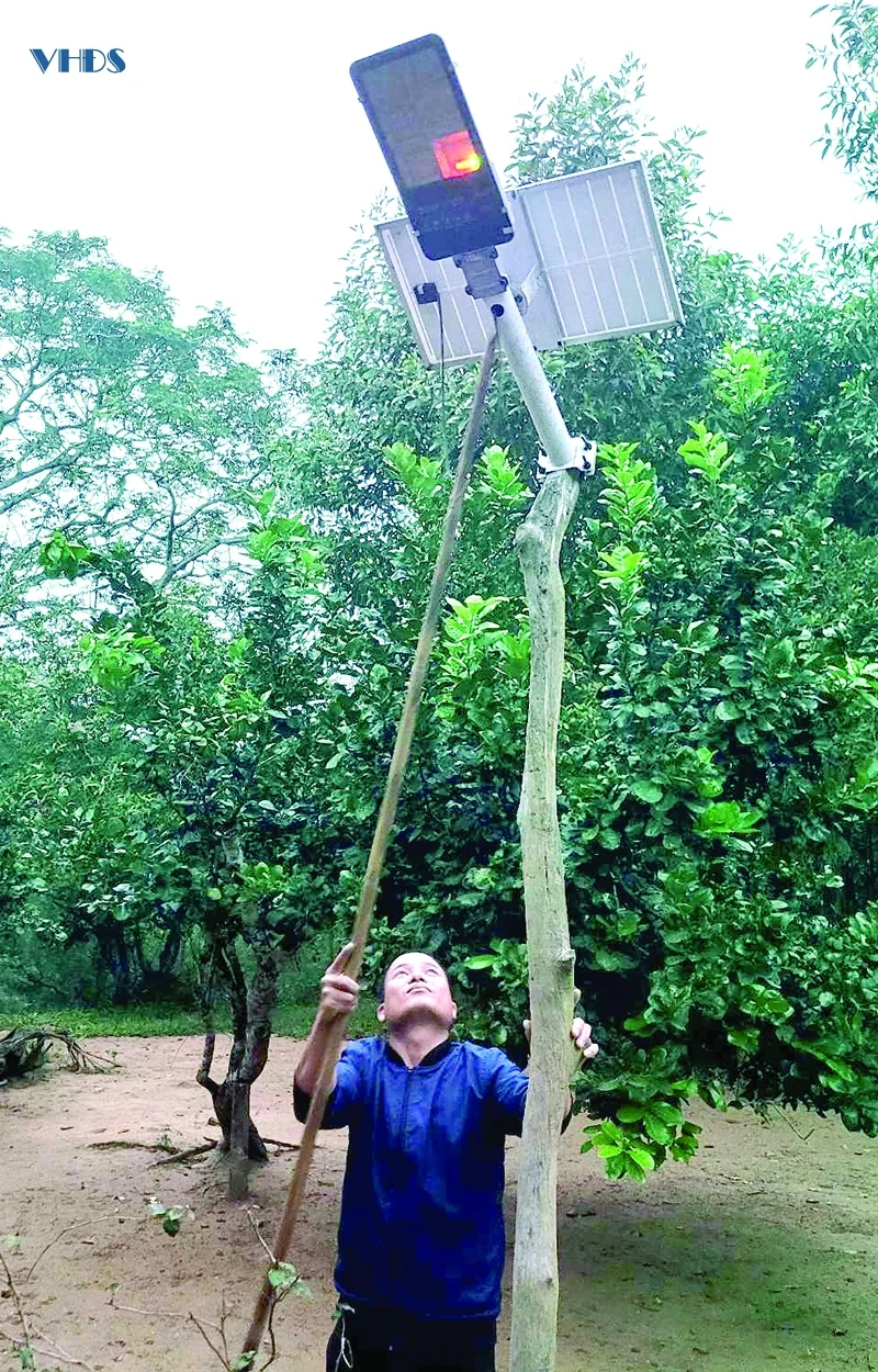 Cuộc sống “3 không” ở Trạm bảo vệ rừng Vực Dựa