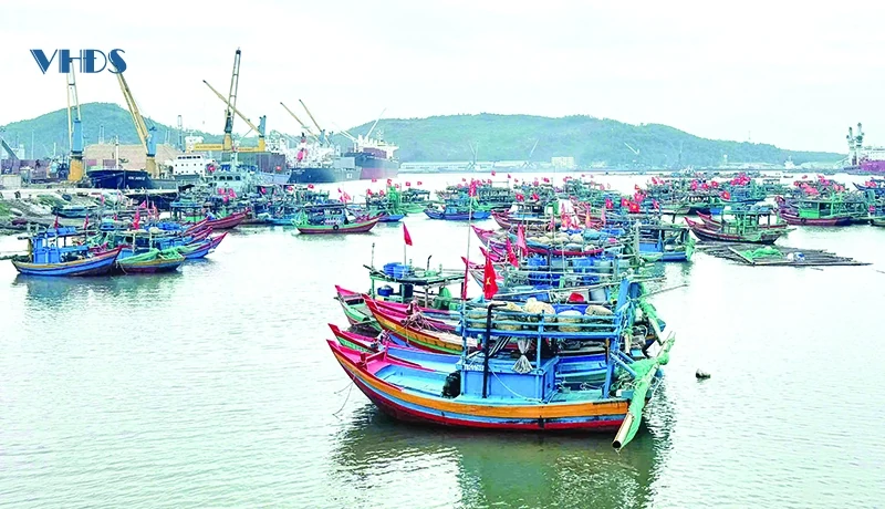 Ði dọc miền biển quê Thanh (bài 2): “Ðánh thức” vùng bãi ngang ven biển, xã đảo đặc biệt khó khăn