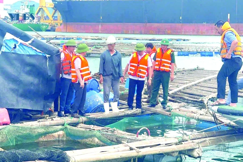 Ði dọc miền biển quê Thanh (Bài 3): Bình minh nơi cửa biển