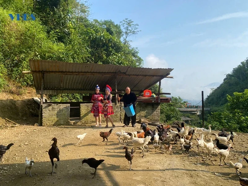 Ước mơ “vượt núi”