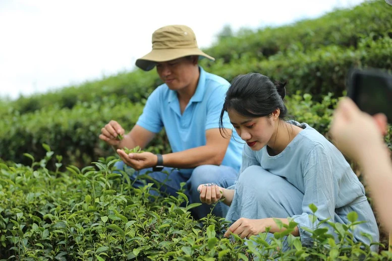 Lần đầu tiên tổ chức Hội nghị quốc tế toàn cầu về Du lịch Nông thôn tại Việt Nam