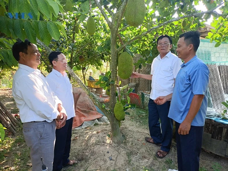 Trưởng thôn “thắp lửa” phong trào nông thôn mới