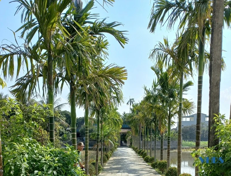 Trưởng thôn được người dân tin quý
