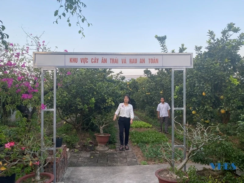 Trưởng thôn được người dân tin quý