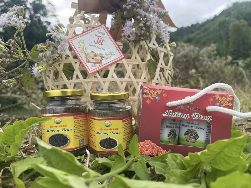 Hạt “vàng” vùng cao