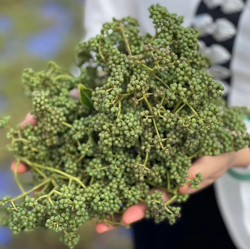 Hạt “vàng” vùng cao