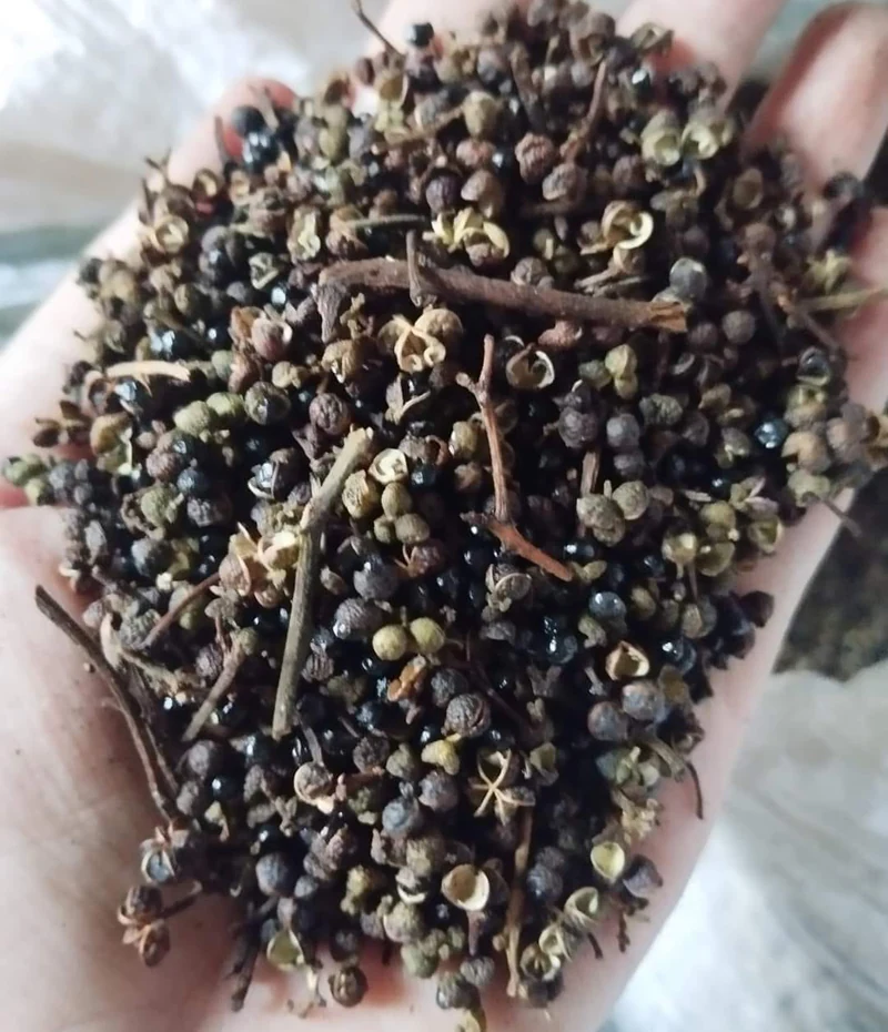 Hạt “vàng” vùng cao