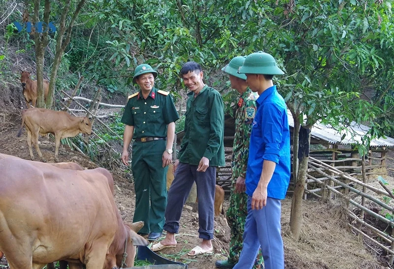 Gieo no ấm trên những bản làng vùng cao