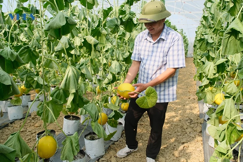 Tác động “kép” từ Chương trình “Mỗi xã một sản phẩm”