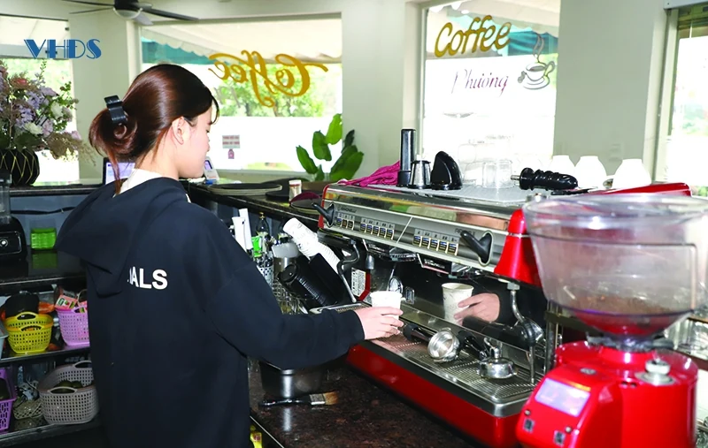 Sinh viên và việc đi làm thêm