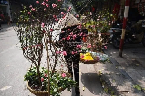 Có hẹn với mùa xuân...