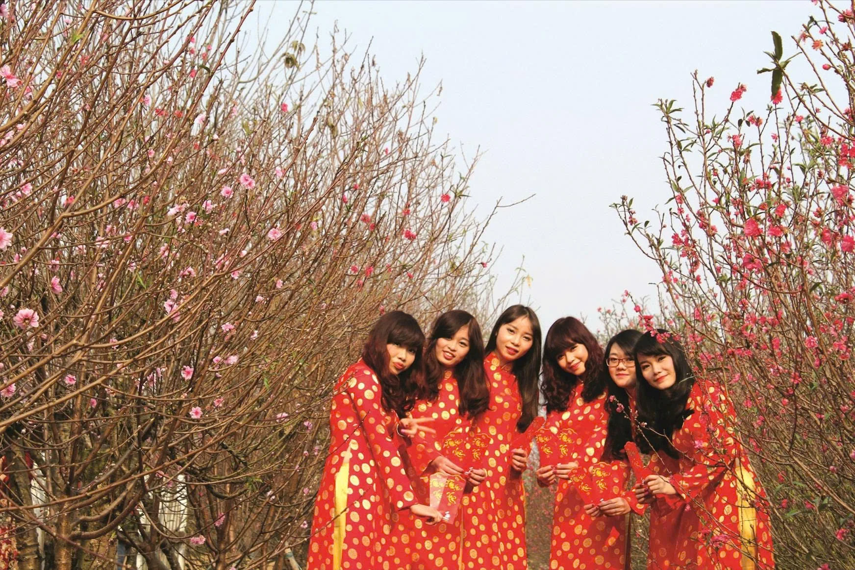 Có hẹn với mùa xuân...