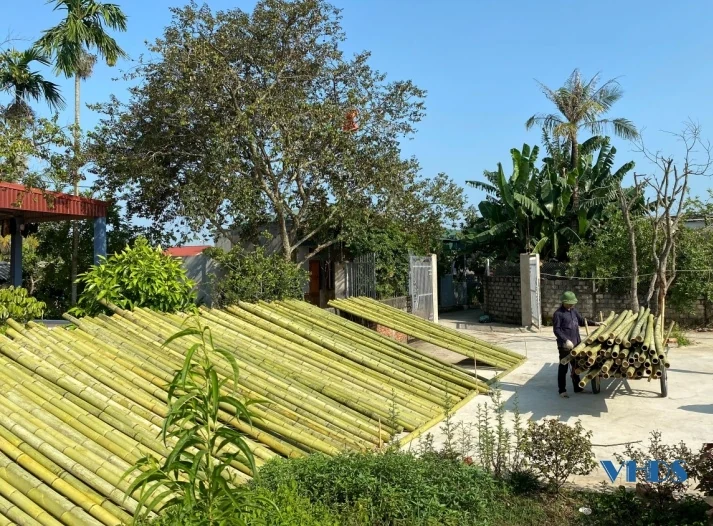 Bỏ phố về quê làm bạn với tre, trúc 