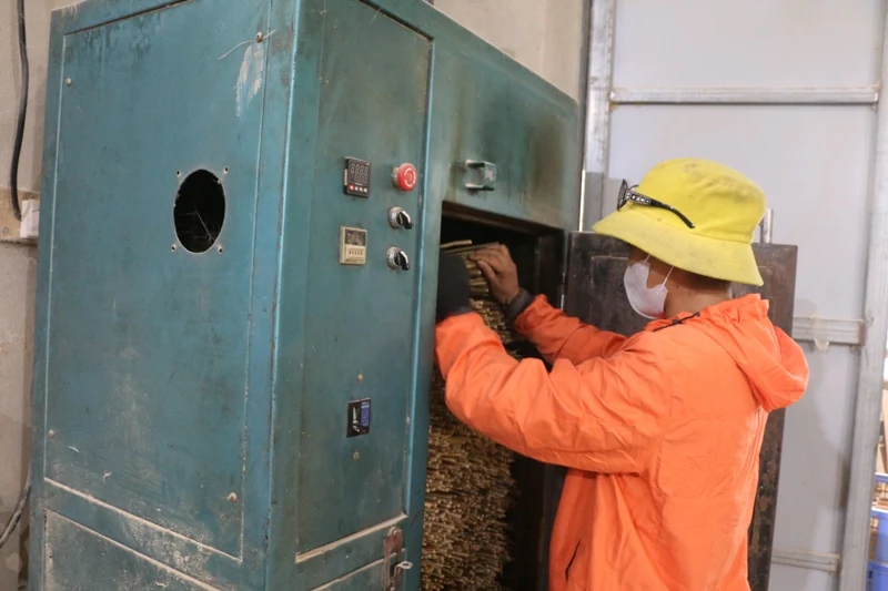 Bỏ phố về quê làm bạn với tre, trúc 