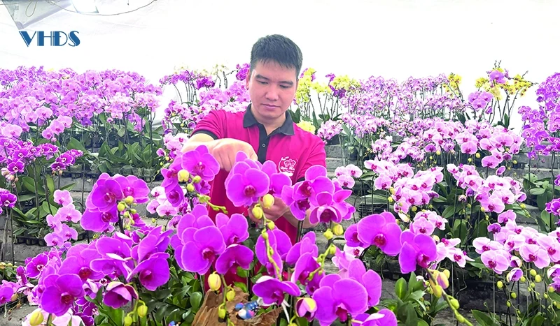 Tết “ấm” làng nghề... (Bài 1): Nghề “đặc thù”