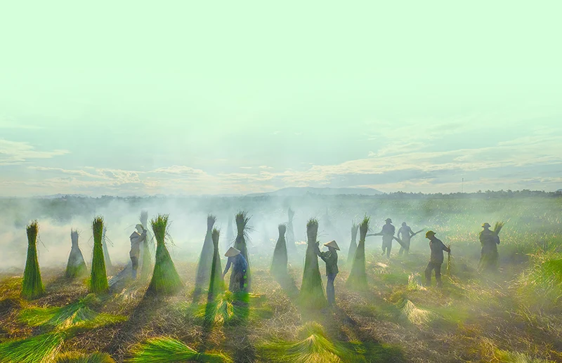 Tôi còn nhiều cái hẹn với quê Thanh