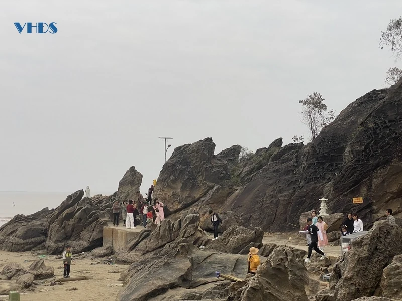 Náo nức du xuân nơi cửa biển Lạch Trường