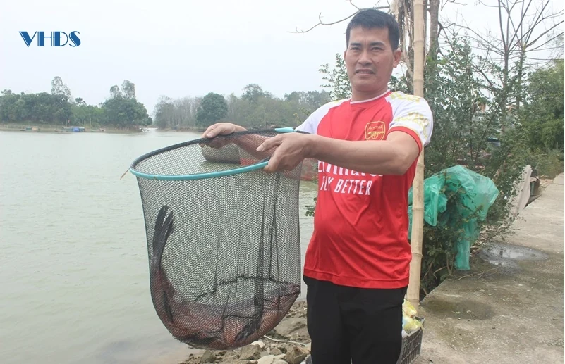 Vui tết cùng bà con phố Giang Thanh