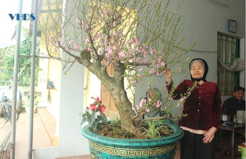 Vui tết cùng bà con phố Giang Thanh