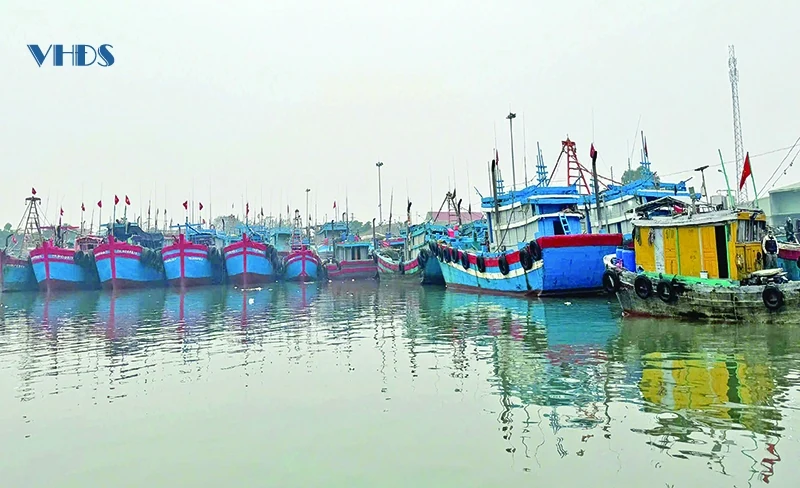 Đầu năm mới đón “lộc biển”