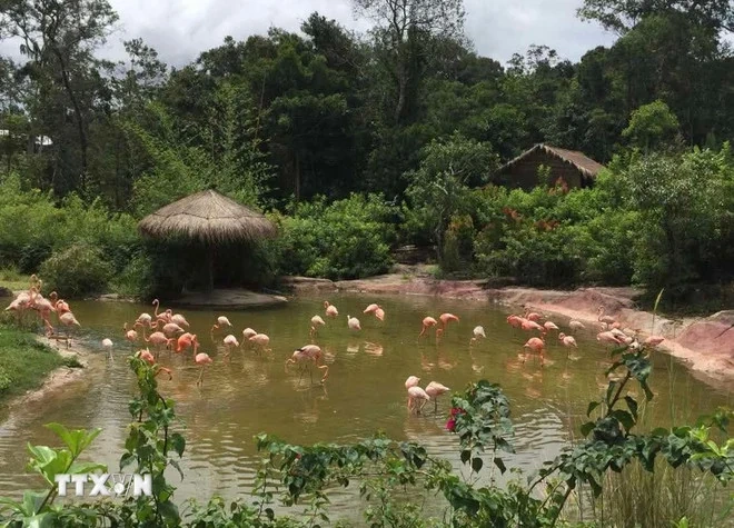 Phú Quốc - Một trong 5 điểm đến có tốc độ phát triển nhanh nhất Đông Nam Á