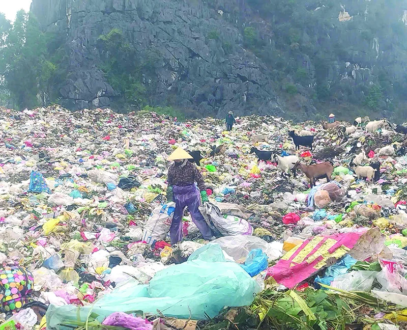 Trên “cánh đồng rác”...