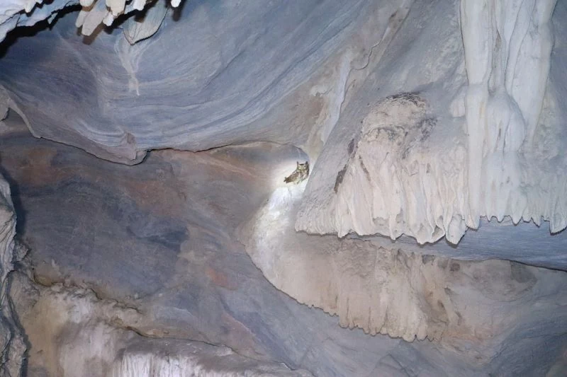 Quan Sơn phát hiện hang động có nhiều nhũ đá đẹp