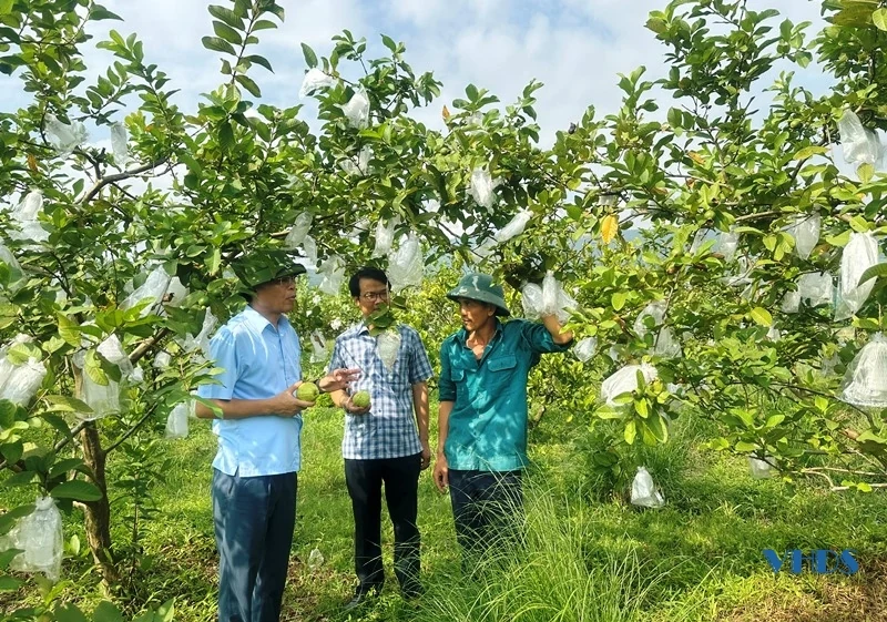 Diện mạo nông thôn mới nâng cao ở Tế Thắng