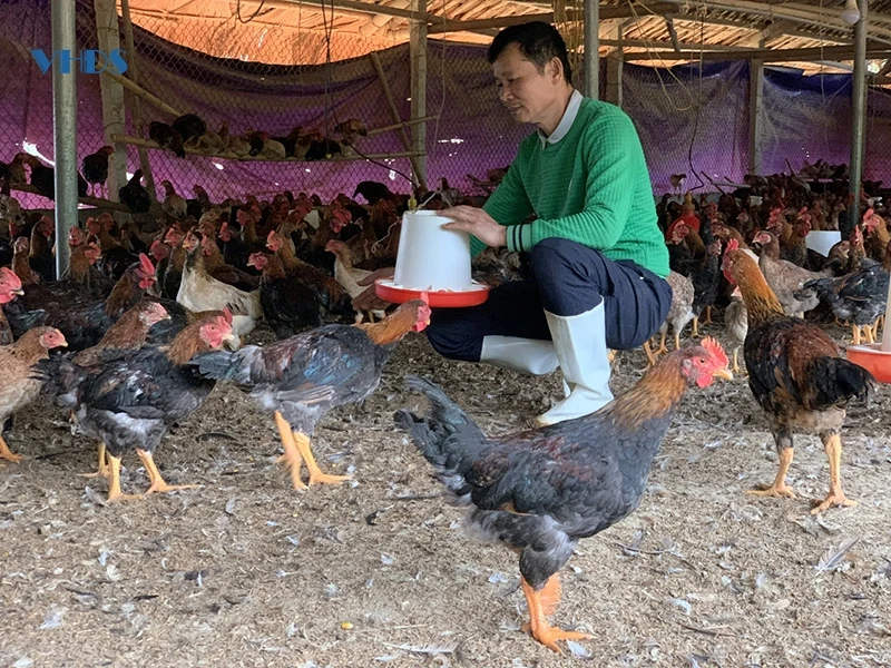 “Chìa khóa” giảm nghèo