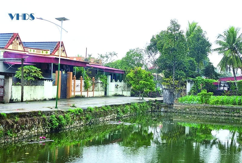 Trên đất làng Ngọc Trung