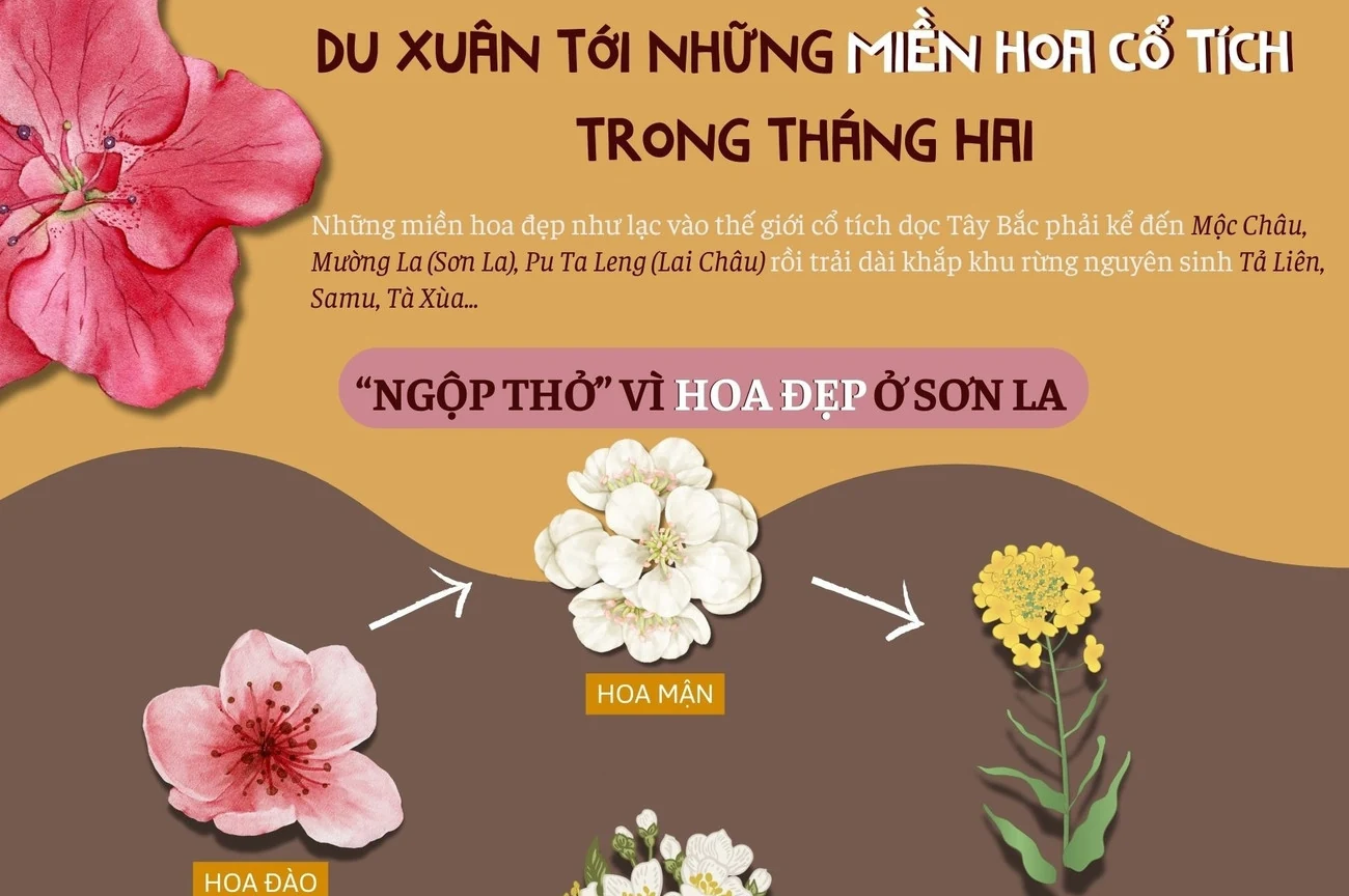 Du Xuân tháng Hai: Gợi ý một số địa điểm ngắm hoa