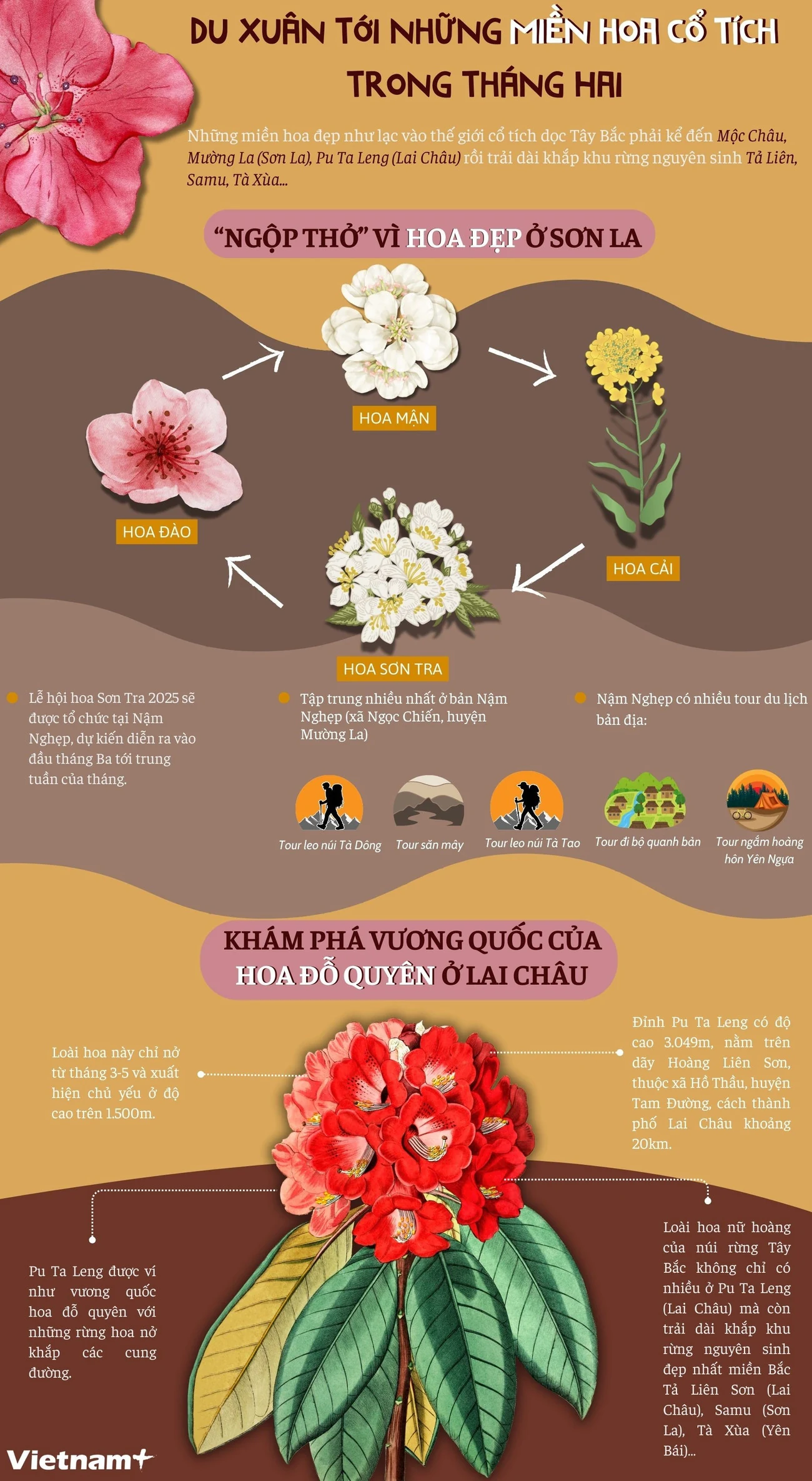Du Xuân tháng Hai: Gợi ý một số địa điểm ngắm hoa