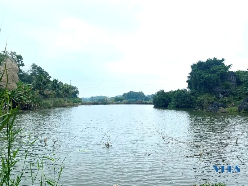 Non nước Đồng Mười