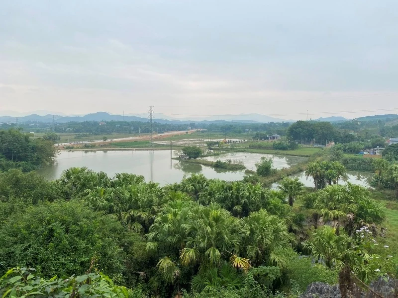 Non nước Đồng Mười