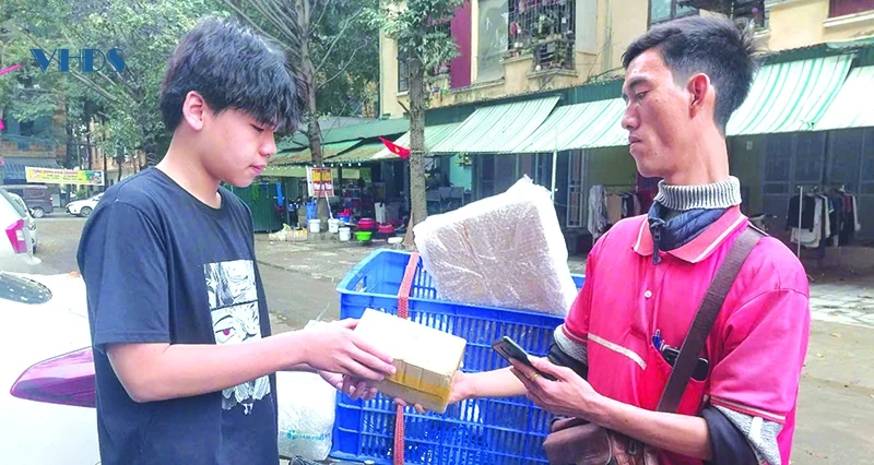 Shipper - một chuyện nghề...