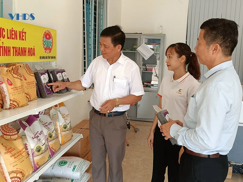 Gạo sạch trên những cánh đồng xanh