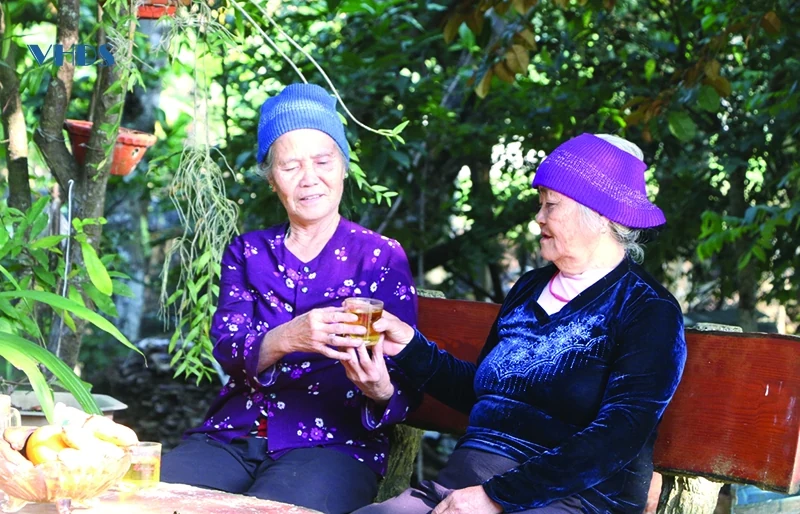 Tâm tư trên những vùng chè (Bài 1): Lưu lại “dấu” chè...