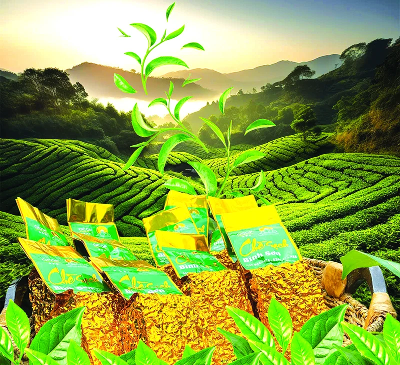 Tâm tư trên những vùng chè (Bài 2): Khi chè trở thành cây... thoát nghèo